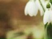 Анастасия Анатольевна ..:BlestyachayaKrasota:.. | Верхняя Пышма