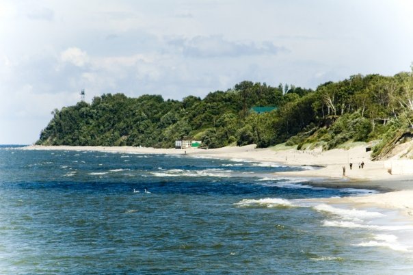 №10, Максим Ерыкалов, 39 лет, Санкт-Петербург №10, Максим Ерыкалов, 39 лет, Санкт-Петербург