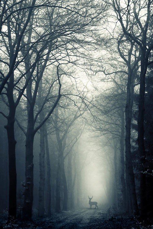 Алексей Ткаченко | Москва