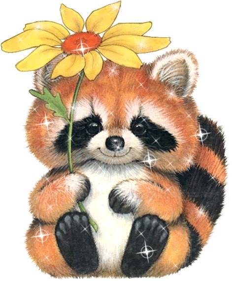 Наташа Иванчук | Черновцы