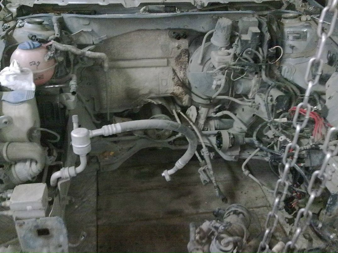 Денис Лаптев | 