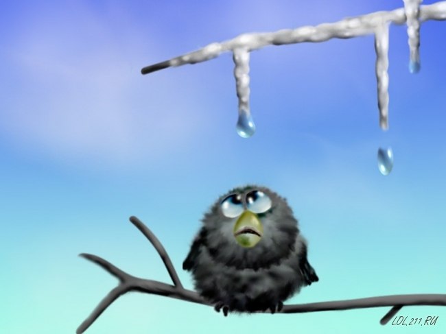 Надежда Шереметьева | Красноярск