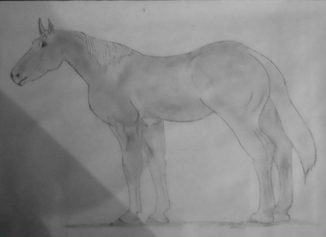 Алексей Могилевкин White^WOLF | Киев