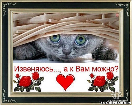 №33, Вера Бикина, 18.10 №33, Вера Бикина, 18.10