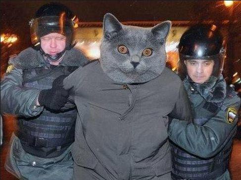 Александр Микитенко | Киев