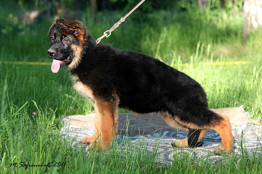 №45, Наталья Ильина, 52 года №45, Наталья Ильина, 52 года