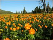 №28 Наталья Крючкова 15.11: профиль, фото, статус - ВКонтакте №28 Наталья Крючкова 15.11: профиль, фото, статус - ВКонтакте