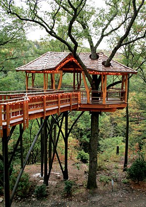 Алёна Алексеева | Москва