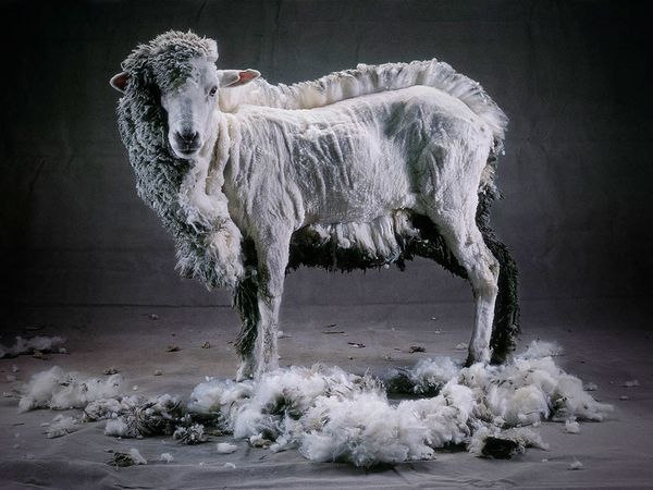 Андрюха Иванов | Санкт-Петербург