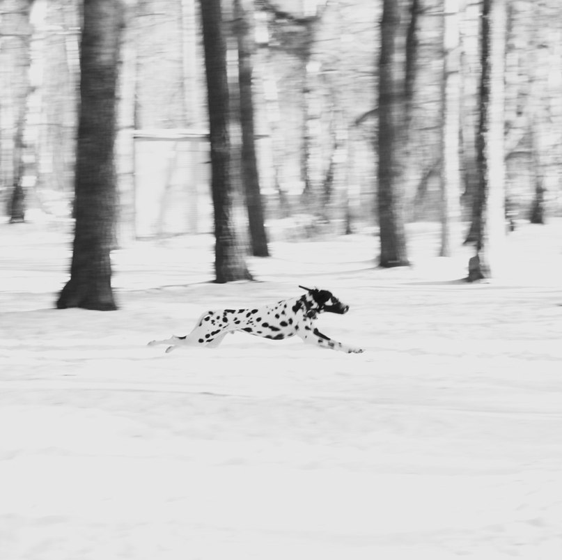 Наталья Максимова | Екатеринбург