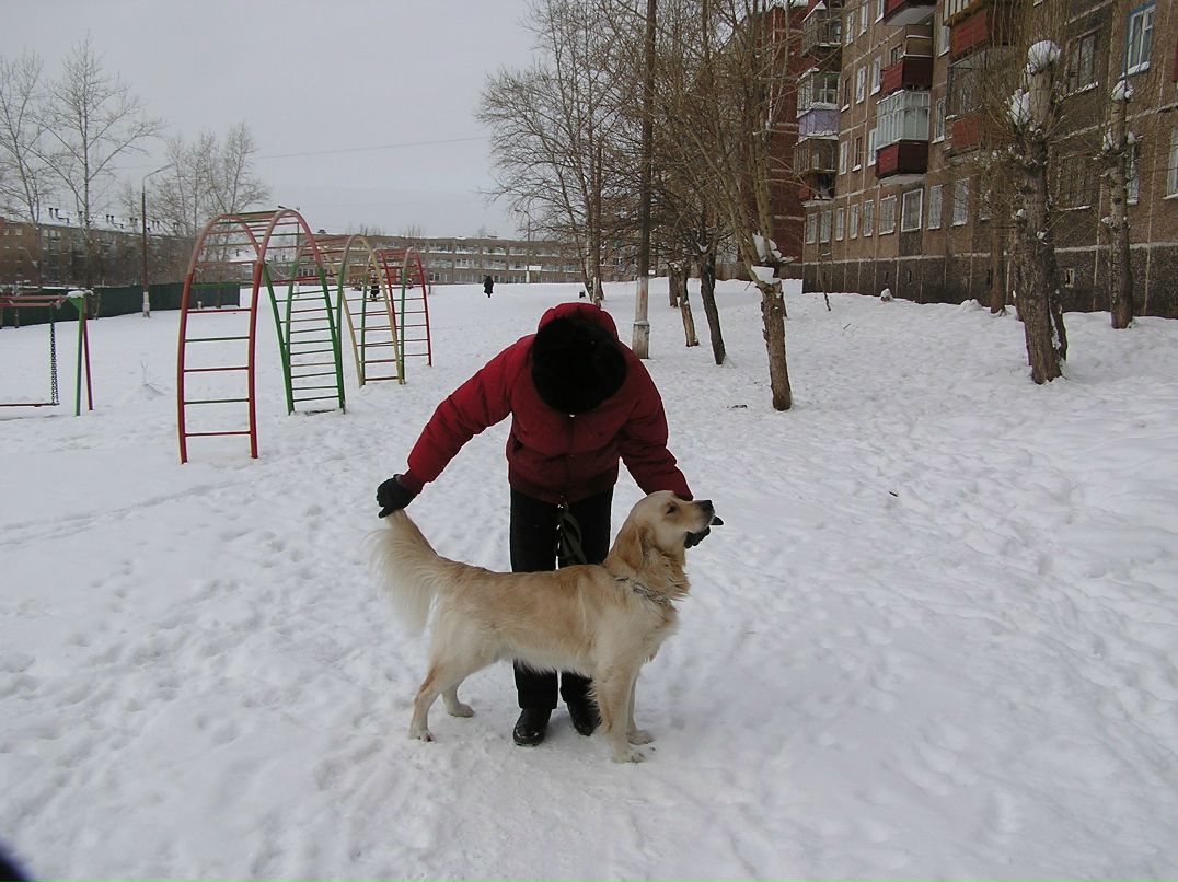 Иван Яковенко | Братск