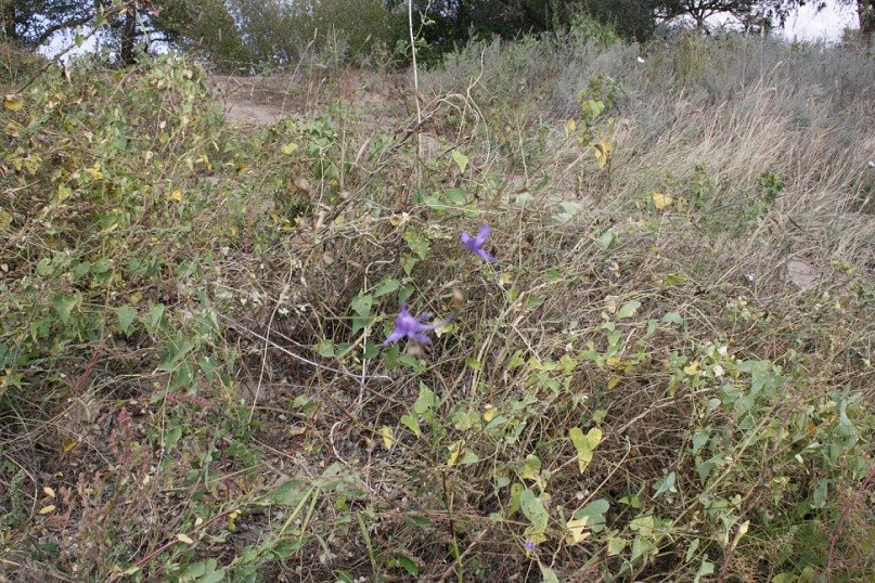 Маргарита Иванова | Москва