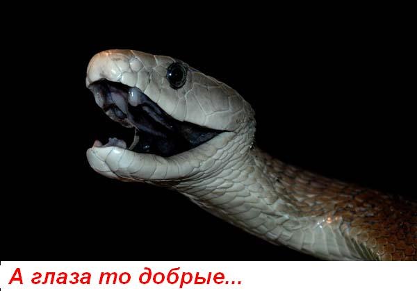 Серёга Ткаченко ¤DJ_V.I.W.¤ ® | Севастополь