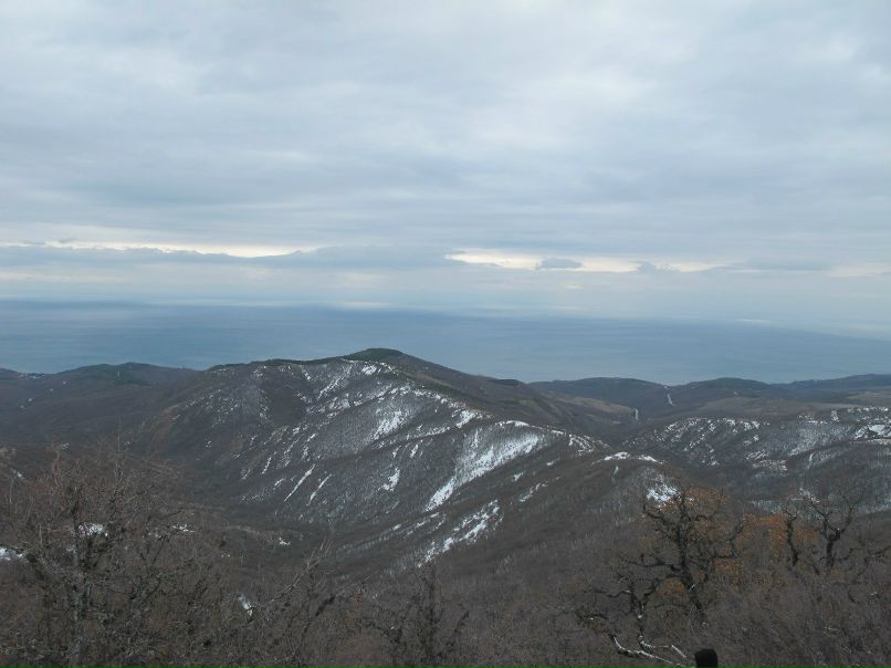 Игорь Баженов | 