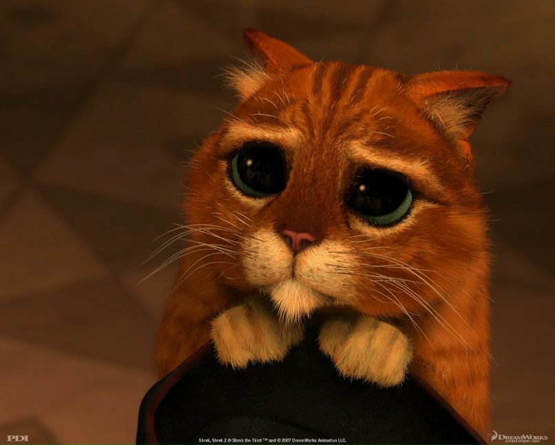 Александр Заричан | Хмельницкий