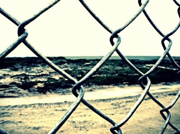 Геннадий Берсенев | Новосибирск