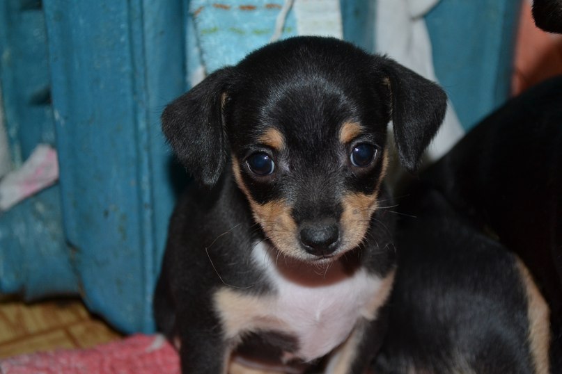 Екатерина Румянцева КАТЁНА | Вологда