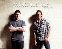 Никита Тиньков | Донецк