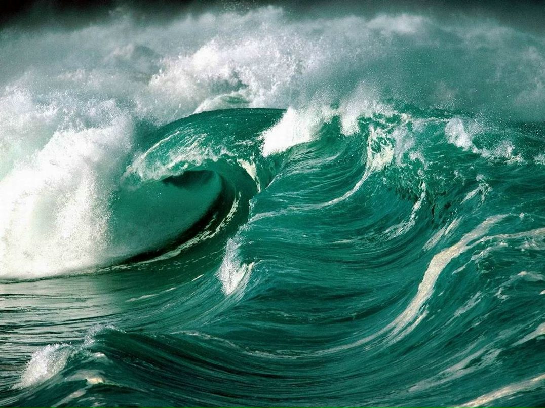 Serg Kalina | Москва