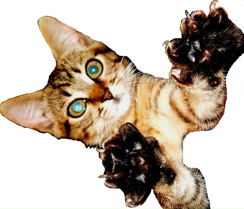 Натали Талова TALA | Киев