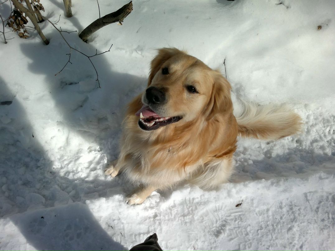 Дмитрий Черноляхов ())---DIMON--- | Москва