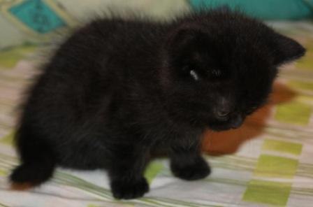 №42, Светлана Березовская, Харьков №42, Светлана Березовская, Харьков