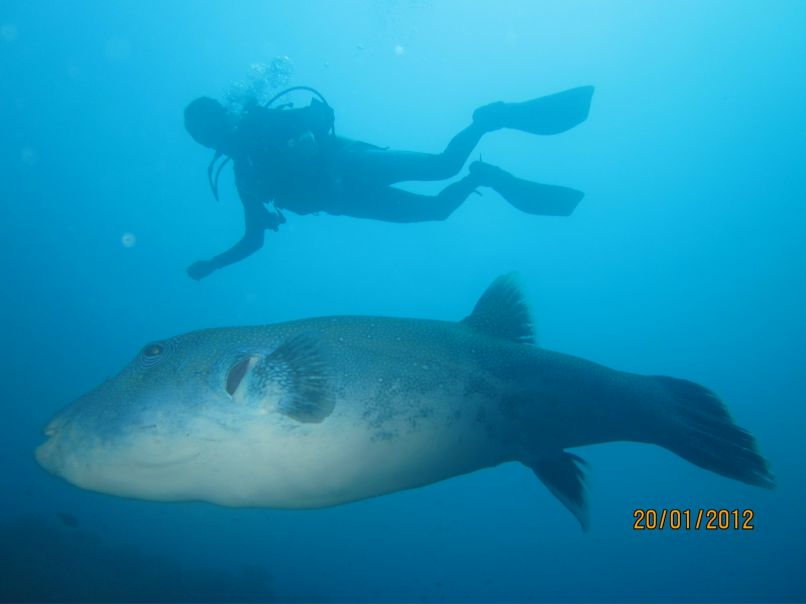 Кирилл Приходько | Санкт-Петербург