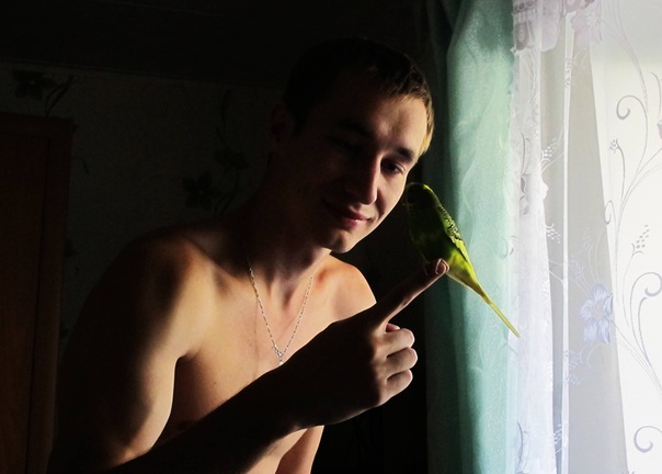 №56, Николай Тимофеев, Великий Новгород №56, Николай Тимофеев, Великий Новгород