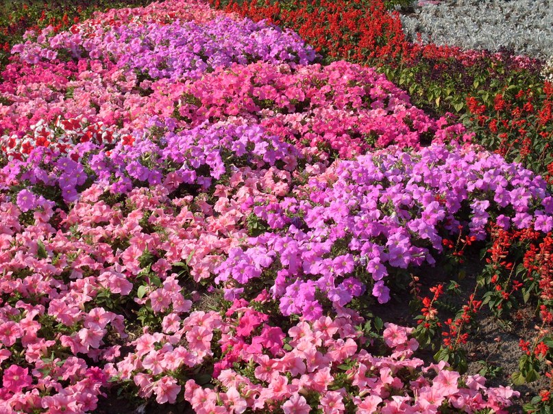 Катя Фомина | Санкт-Петербург