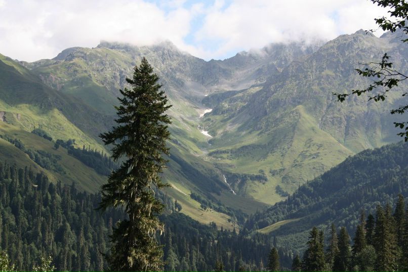Владимир Снежинский | Москва