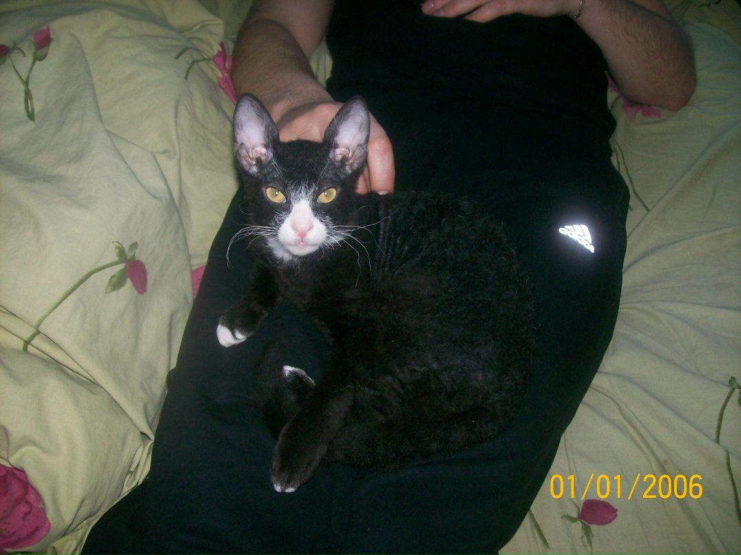 Александра Крепкая ˜”*°• ⎛★ ⎝⏜⏝ ⏜⎠★⎞ .•°*”˜ | Киев