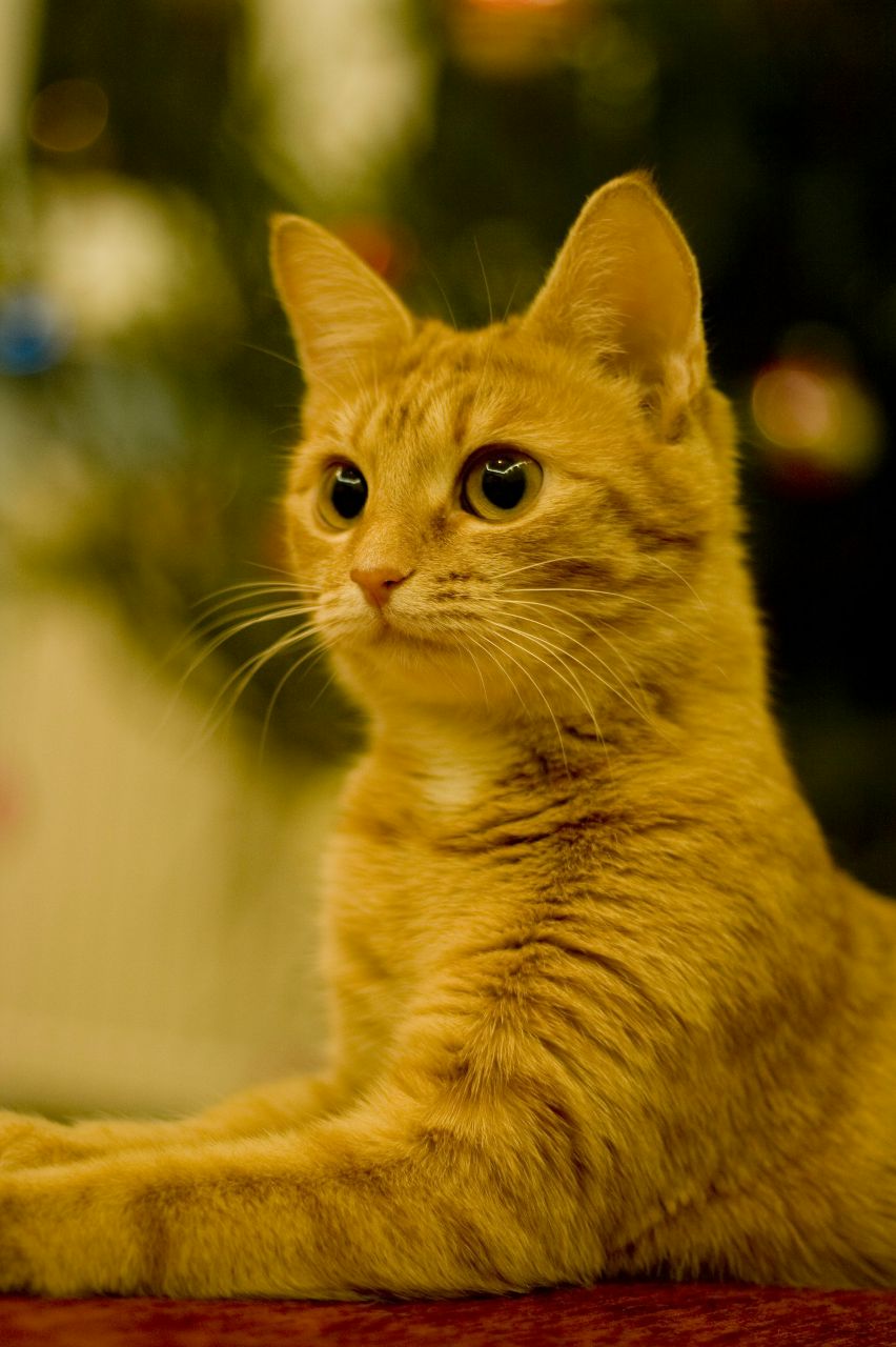 Иван Кузнецов | Москва