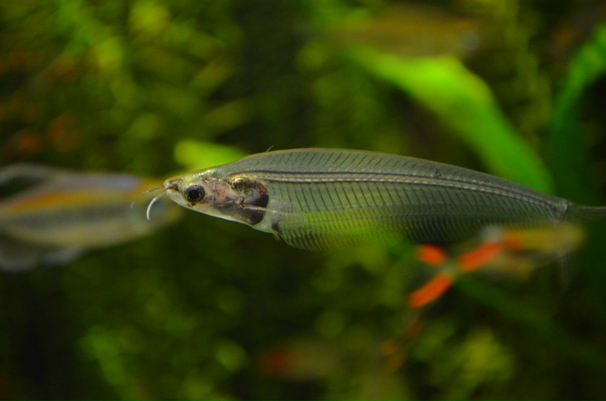 Юляша Загоненко | Одесса