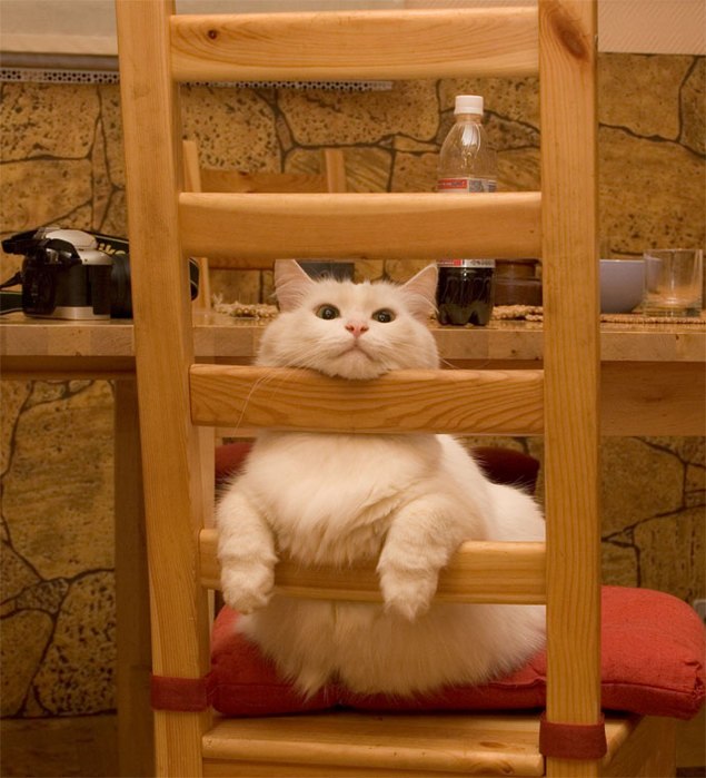 Александр Ткаченко | Симферополь