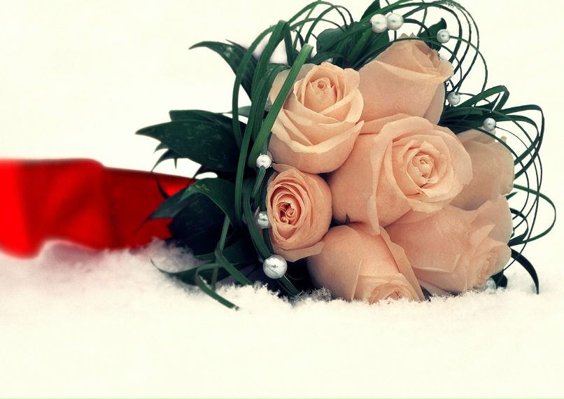 Артем Жосан | 