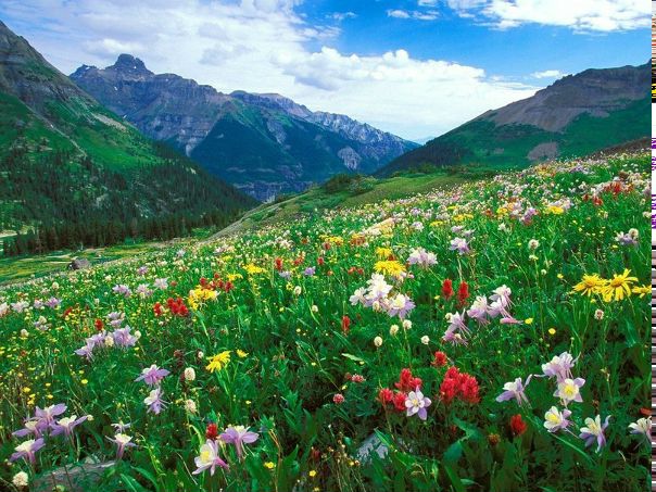 №47, Александр Николаев, 14.3, Новосибирск №47, Александр Николаев, 14.3, Новосибирск