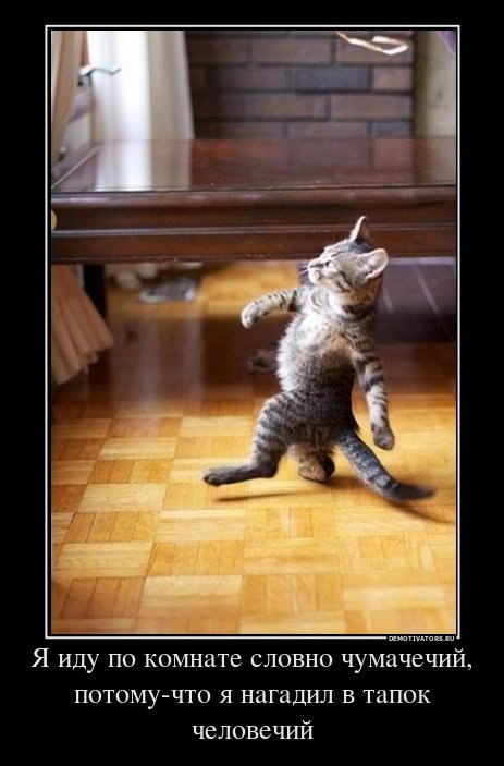 Ольга Душка | Черкассы