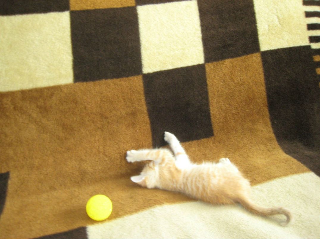 Павел Сдобнов | Москва