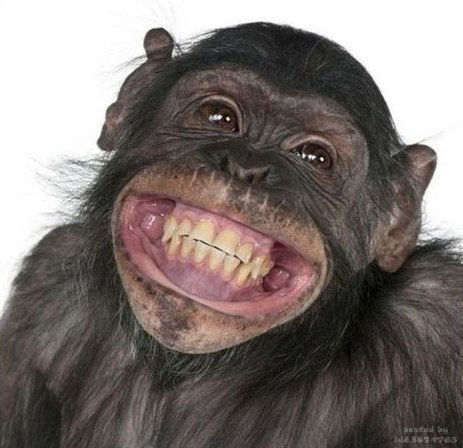 Tanya Redchits | Житомир