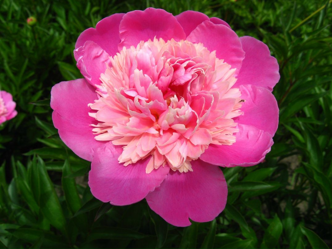 Галина Шахматенко | Санкт-Петербург