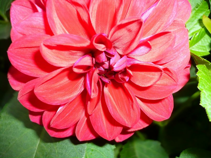 Евгения Карпенко | Бирюч (Красногвардейское)