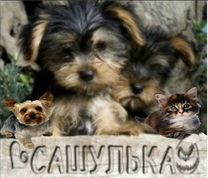 №94, Александра Силантьева №94, Александра Силантьева