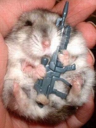 Наташа Громова | Саратов