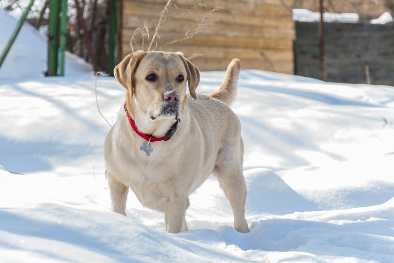 Сергей Серов | Москва
