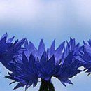 №31 Татьяна Лихачева : профиль, фото, статус - ВКонтакте