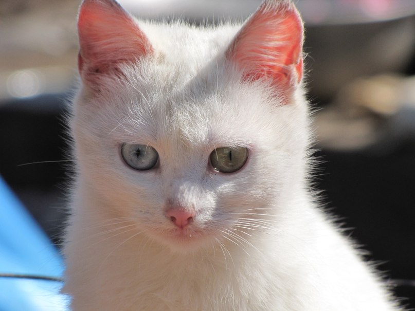 Анна Джига (Мартошенко) | Екатеринбург