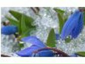 Полина Тесленко | Полтава