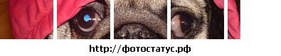 Фотография Олег Кубаш