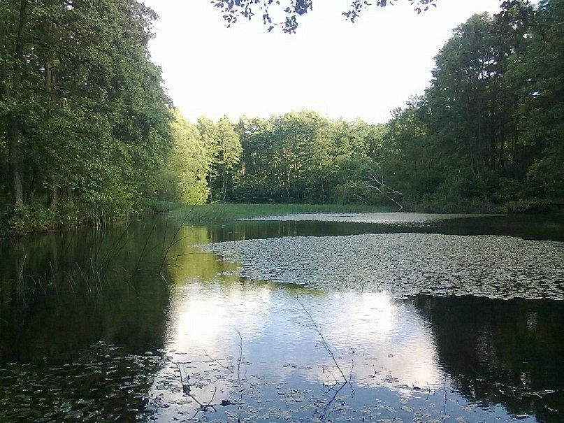 Даниил Подоляк Вадимович | Киев