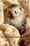 HANDMADE OPERA МANUARIA (Войлок,Шерсть,Фильцеван HANDMADE OPERA МANUARIA (Войлок,Шерсть,Фильцеван